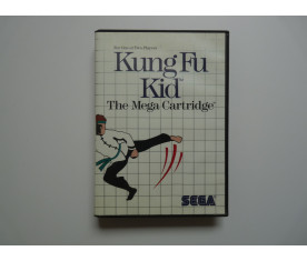 Kung Fu Kid