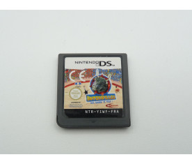 Nintendo DS - Intervilles