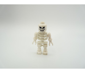Lego Harry Potter : Squelette